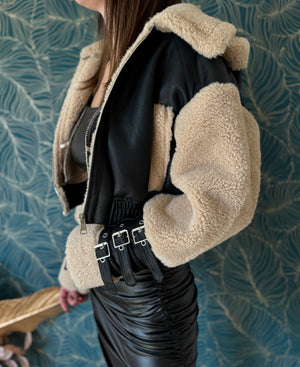 Teddy Crop Bomber